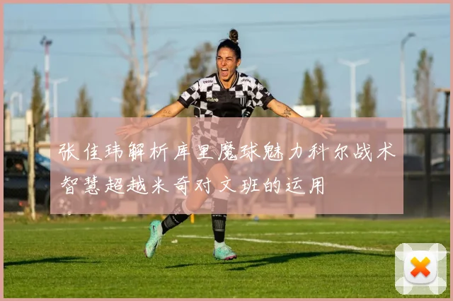 张佳玮解析库里魔球魅力科尔战术智慧超越米奇对文班的运用