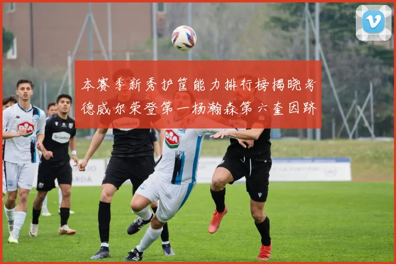 本赛季新秀护筐能力排行榜揭晓考德威尔荣登第一杨瀚森第六奎因跻身前十