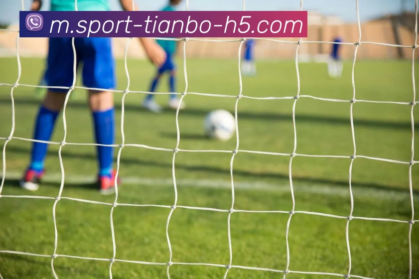 天博体育APP 体育赛事宣传图